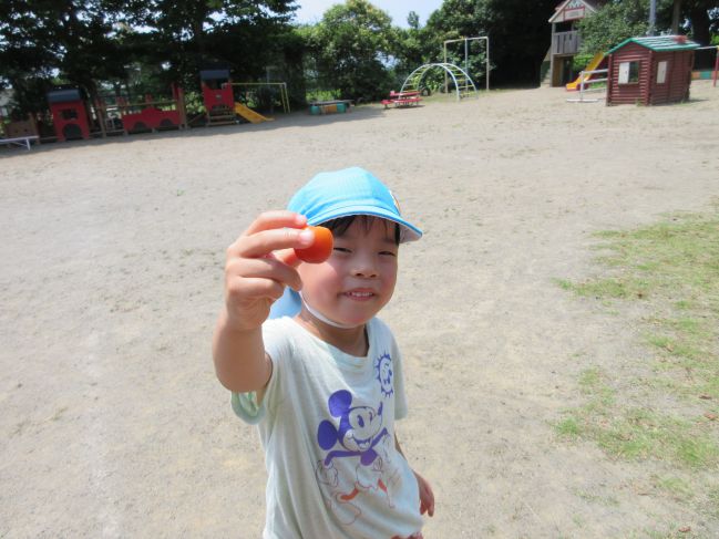 ミニトマト