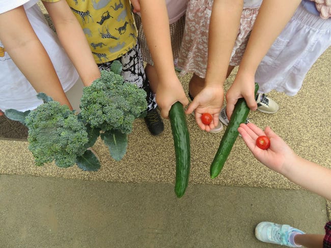野菜