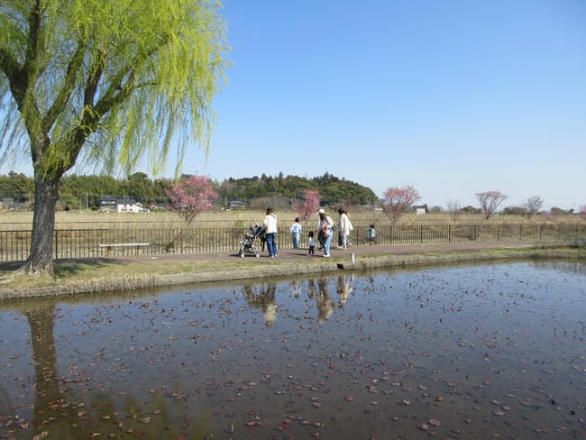 親水公園
