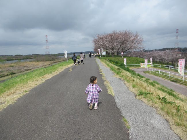 お花見
