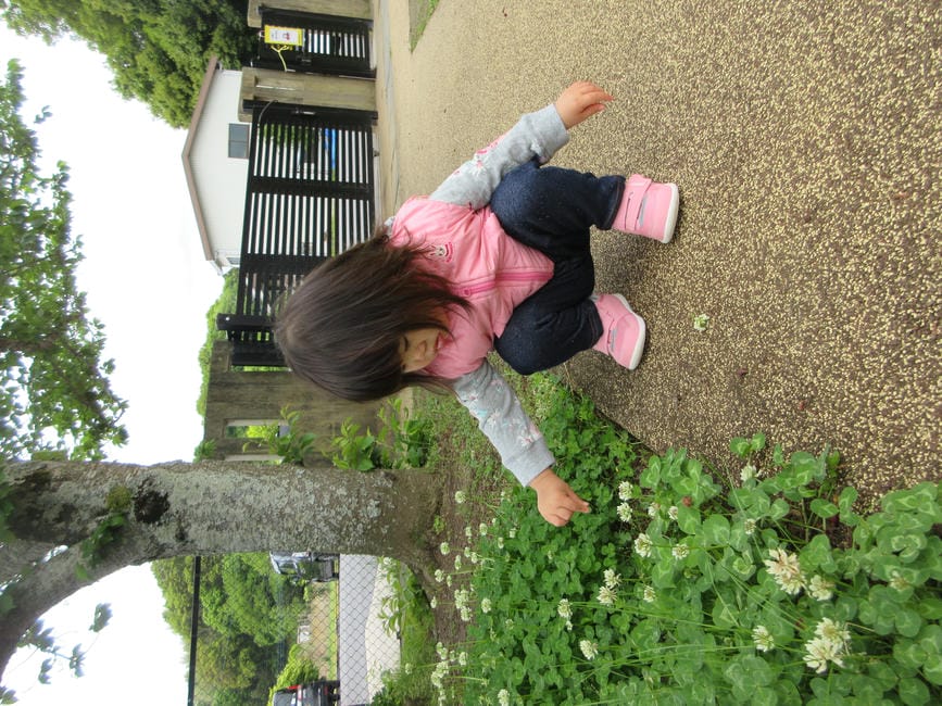 園庭であそぼう